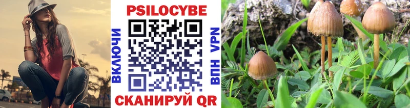 площадка телеграм  Семилуки  Галлюциногенные грибы Psilocybe 